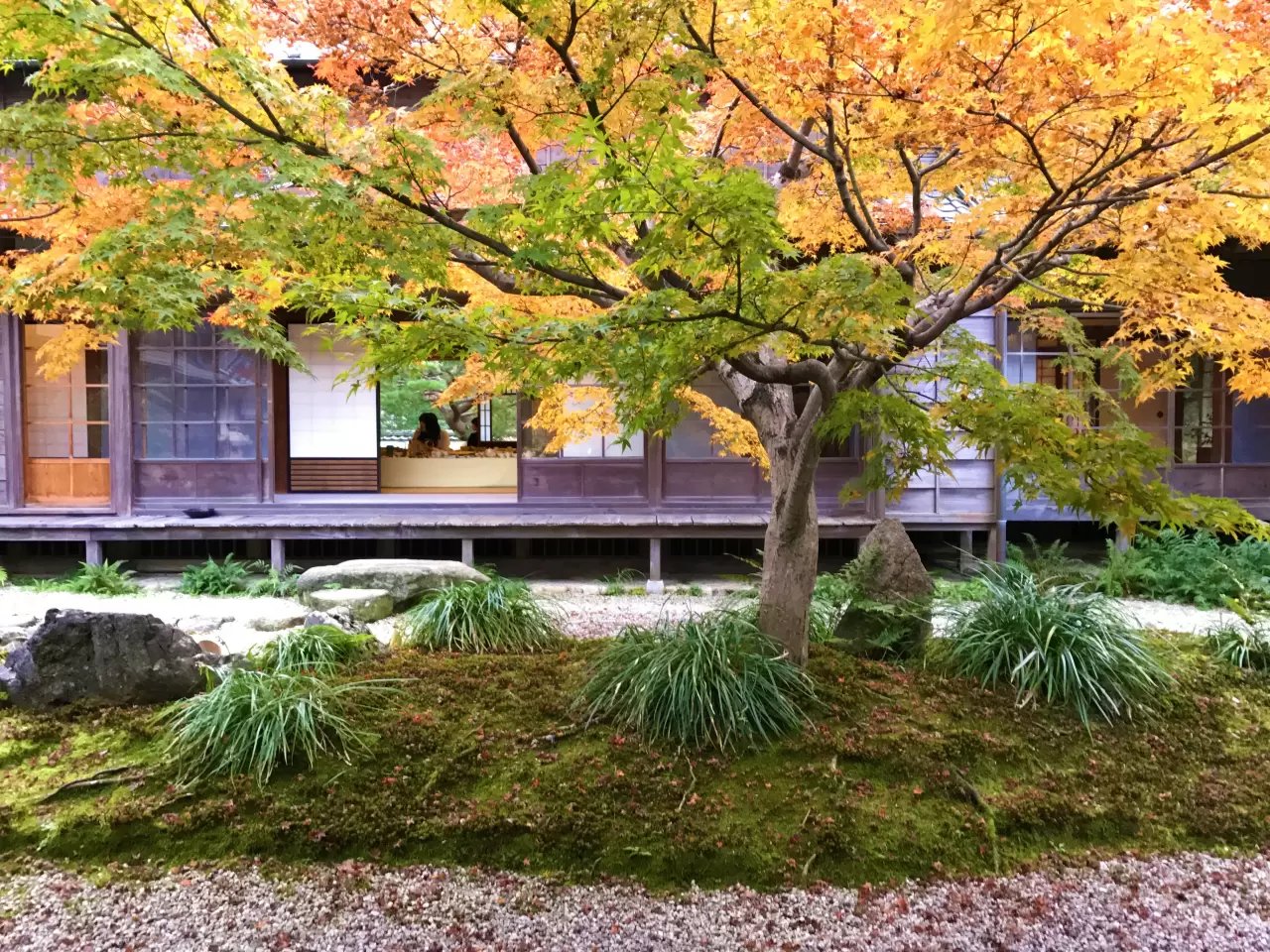 🏯 초후 모리 저택(조후 모리 야시키) 이미지 6